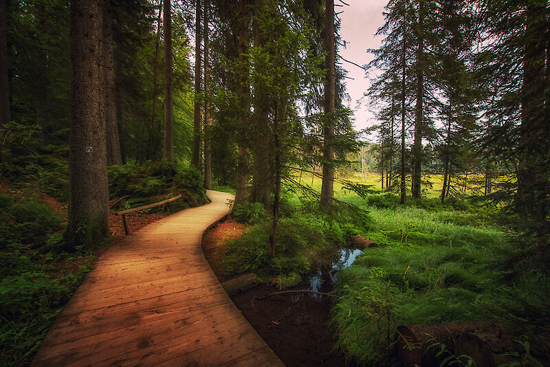 Gästekarte Nationalpark Bayerischer Wald